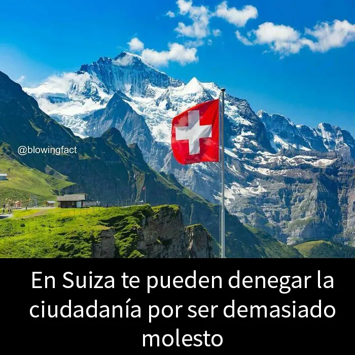 20 «Datos alucinantes» compartidos en esta cuenta de Instagram
