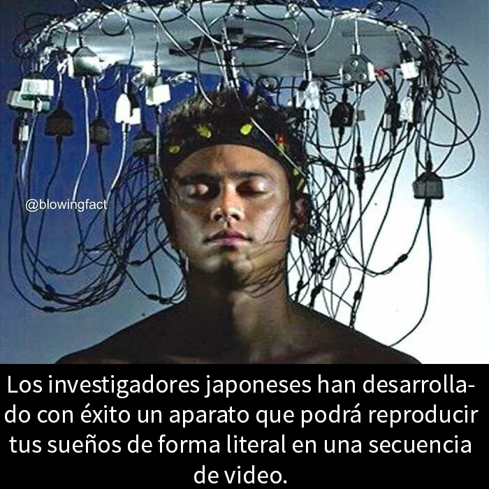 20 «Datos alucinantes» compartidos en esta cuenta de Instagram