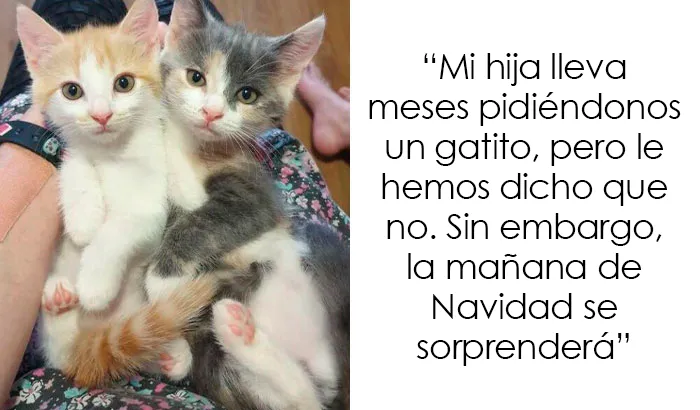 40 Padres y madres geniales que se merecen una medalla por lo sanos y solidarios que son (nuevas fotos)