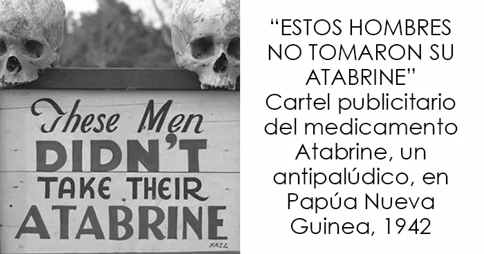 33 Datos curiosos y algunos tan morbosos que no son aptos para cardíacos