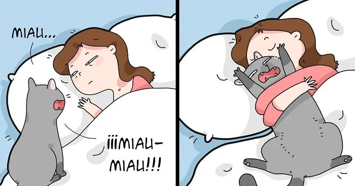 Una artista ilustra cómo es vivir con un gato (30 fotos nuevas)