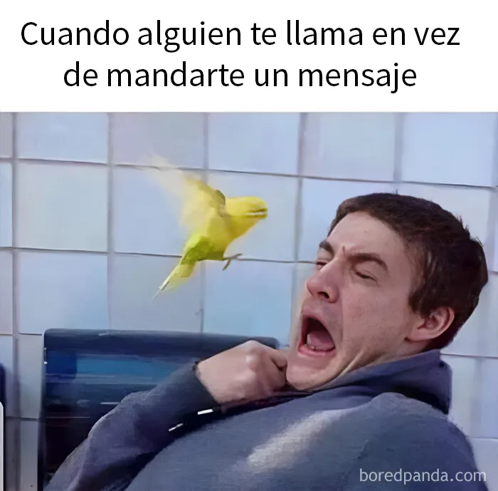 "Preferiría que no": 21 imágenes divertidas, confusas e inquietantes