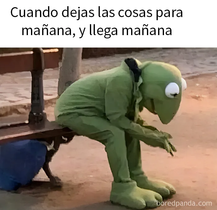 "Preferiría que no": 21 imágenes divertidas, confusas e inquietantes