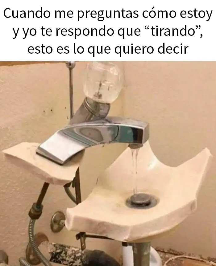 "Preferiría que no": 21 imágenes divertidas, confusas e inquietantes