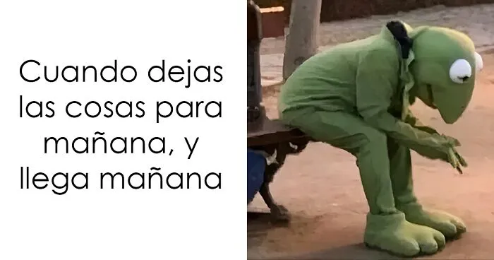 "Preferiría que no": 21 imágenes divertidas, confusas e inquietantes