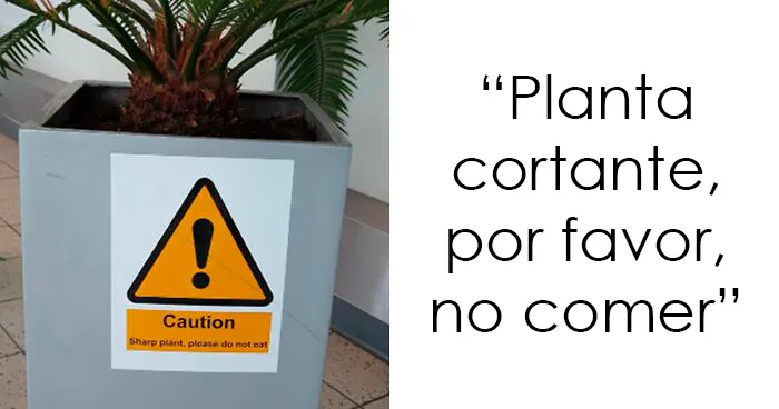 Algunas cosas sólo existen porque la gente es tonta, he aquí 30 de los ejemplos más precisos
