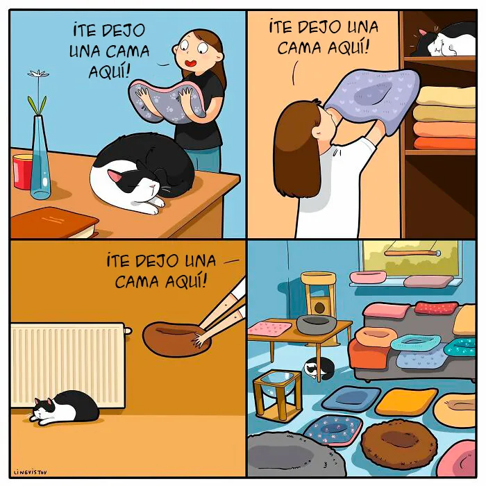 Una artista ilustra cómo es vivir con un gato (30 fotos nuevas)