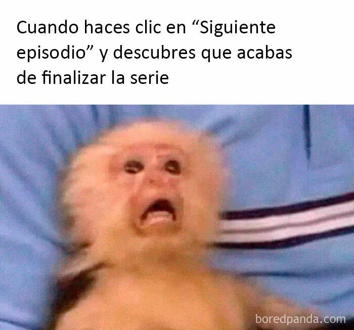 20 Memes muy cercanos que van desde los más desenfadados a los que dan en el clavo