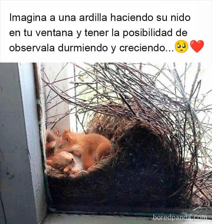 20 Reconfortantes publicaciones que debes ver si te sientes triste (nuevas fotos)