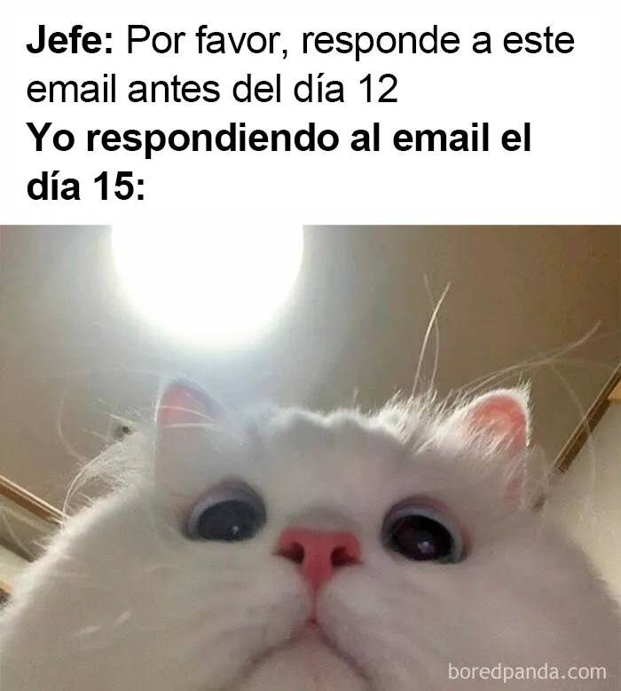 20 Divertidos memes sobre trabajo que mirar mientras intentas ser productivo (nuevos memes)