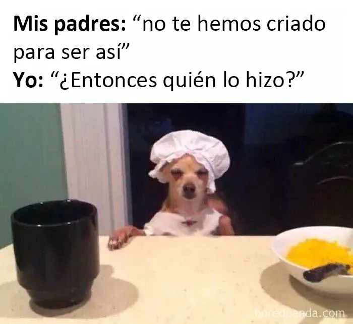 20 Memes muy cercanos que van desde los más desenfadados a los que dan en el clavo
