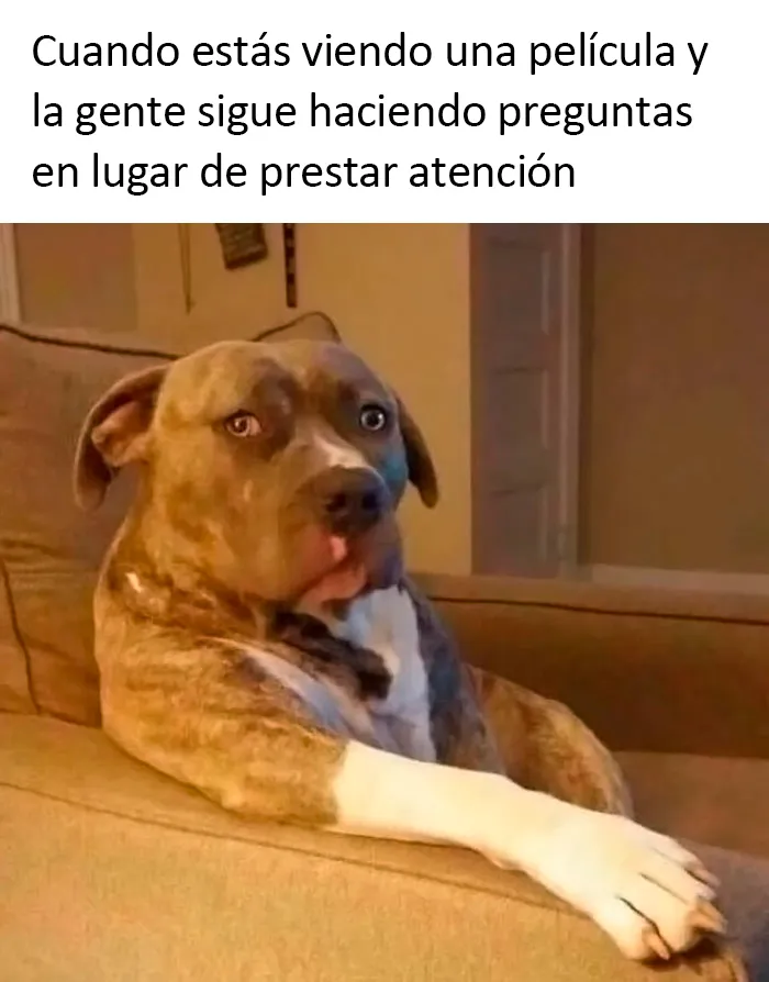 22 Imágenes no aptas para débiles compartidas en esta página de X