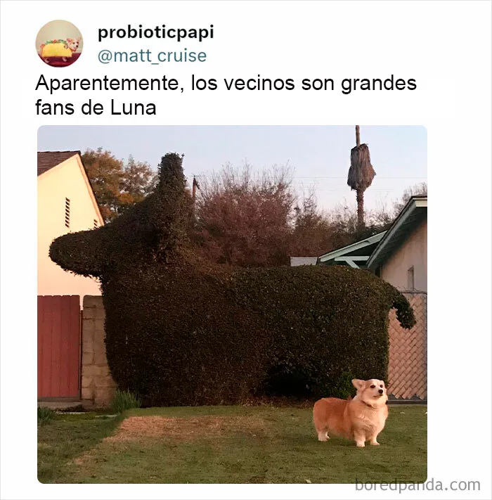 20 Reconfortantes publicaciones que debes ver si te sientes triste (nuevas fotos)