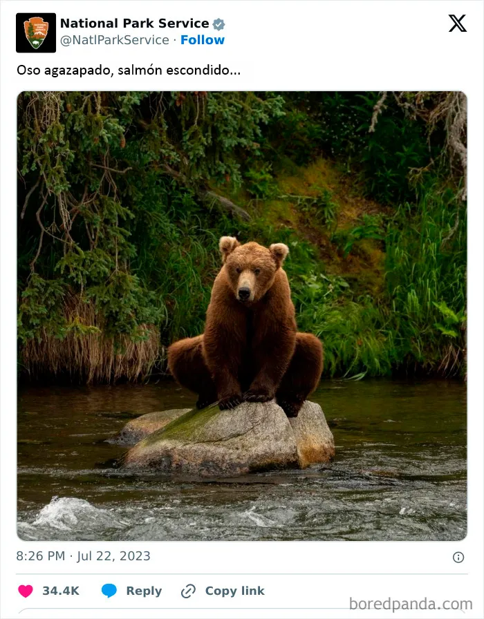 El Servicio de Parques Nacionales de los Estados Unidos tiene la persona perfecta para las redes sociales porque sus tuits son divertidísimos (25 fotos)