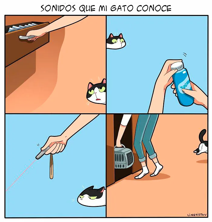 Una artista ilustra cómo es vivir con un gato (30 fotos nuevas)