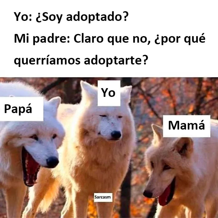 20 Memes divertidos y cercanos compartidos en la cuenta de Instagram "Sarcasm Only" (nuevas fotos)