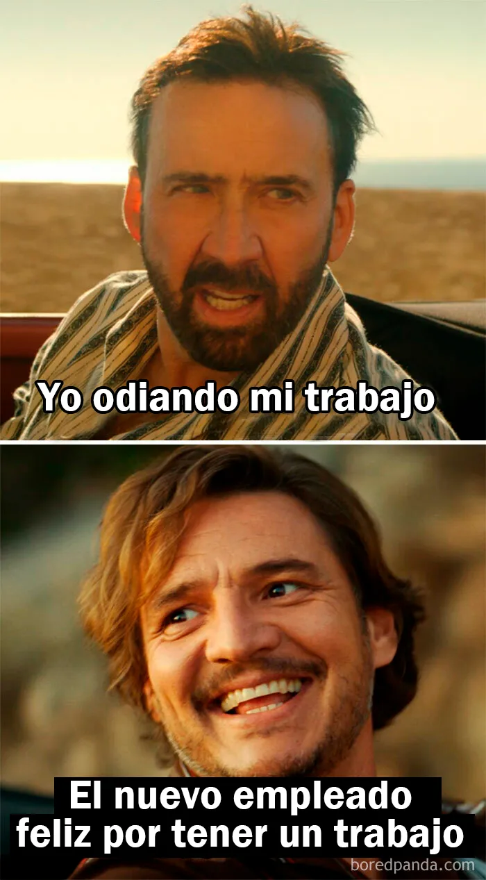 20 Divertidos memes sobre trabajo que mirar mientras intentas ser productivo (nuevos memes)