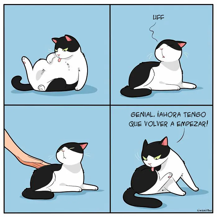 Una artista ilustra cómo es vivir con un gato (30 fotos nuevas)