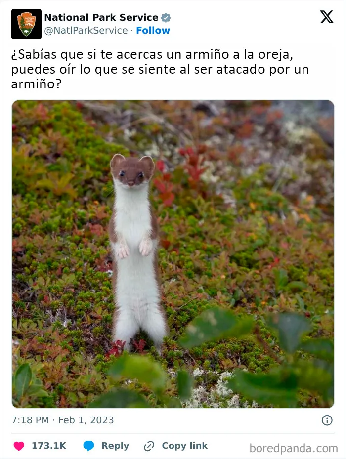 El Servicio de Parques Nacionales de los Estados Unidos tiene la persona perfecta para las redes sociales porque sus tuits son divertidísimos (25 fotos)
