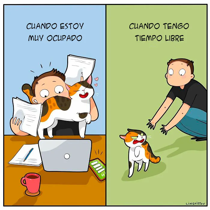 Una artista ilustra cómo es vivir con un gato (30 fotos nuevas)