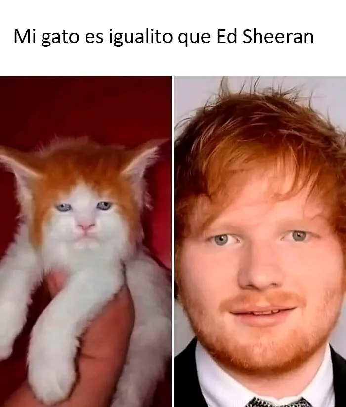 22 Imágenes no aptas para débiles compartidas en esta página de X