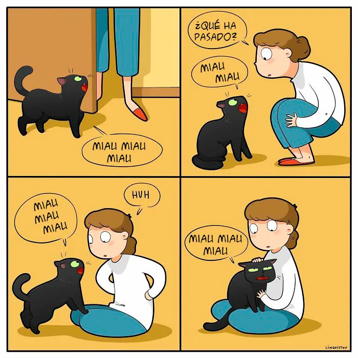 Una artista ilustra cómo es vivir con un gato (30 fotos nuevas)