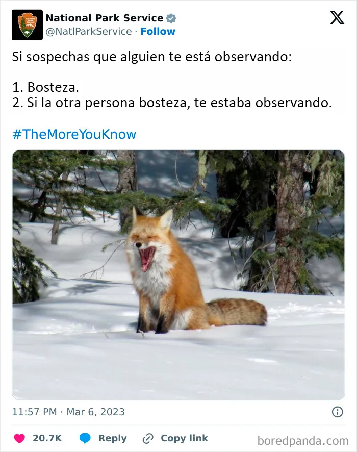 El Servicio de Parques Nacionales de los Estados Unidos tiene la persona perfecta para las redes sociales porque sus tuits son divertidísimos (25 fotos)
