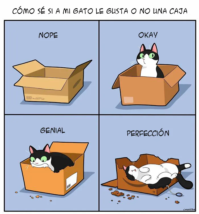 Una artista ilustra cómo es vivir con un gato (30 fotos nuevas)