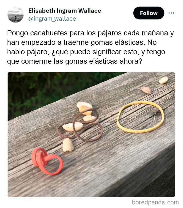20 Reconfortantes publicaciones que debes ver si te sientes triste (nuevas fotos)