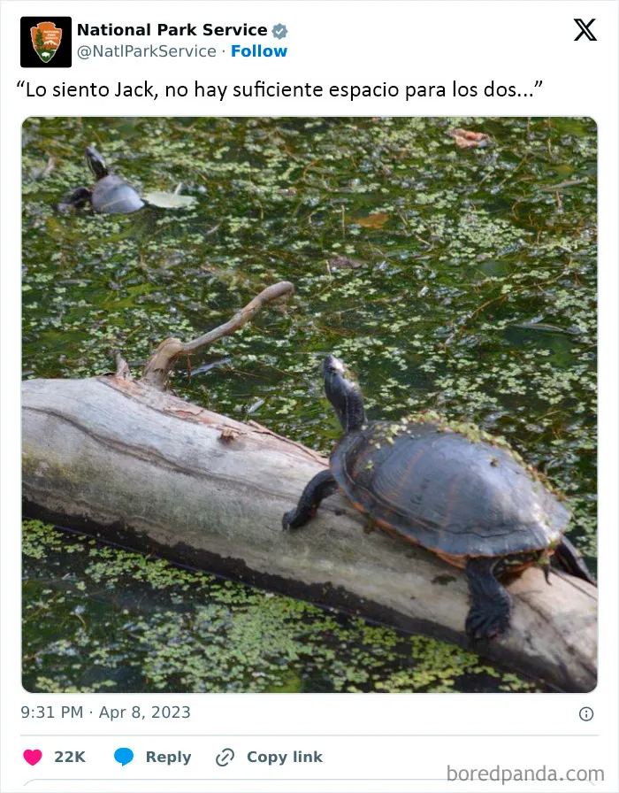 El Servicio de Parques Nacionales de los Estados Unidos tiene la persona perfecta para las redes sociales porque sus tuits son divertidísimos (25 fotos)