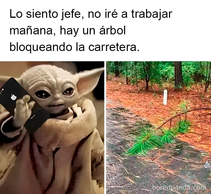 20 Divertidos memes sobre trabajo que mirar mientras intentas ser productivo (nuevos memes)