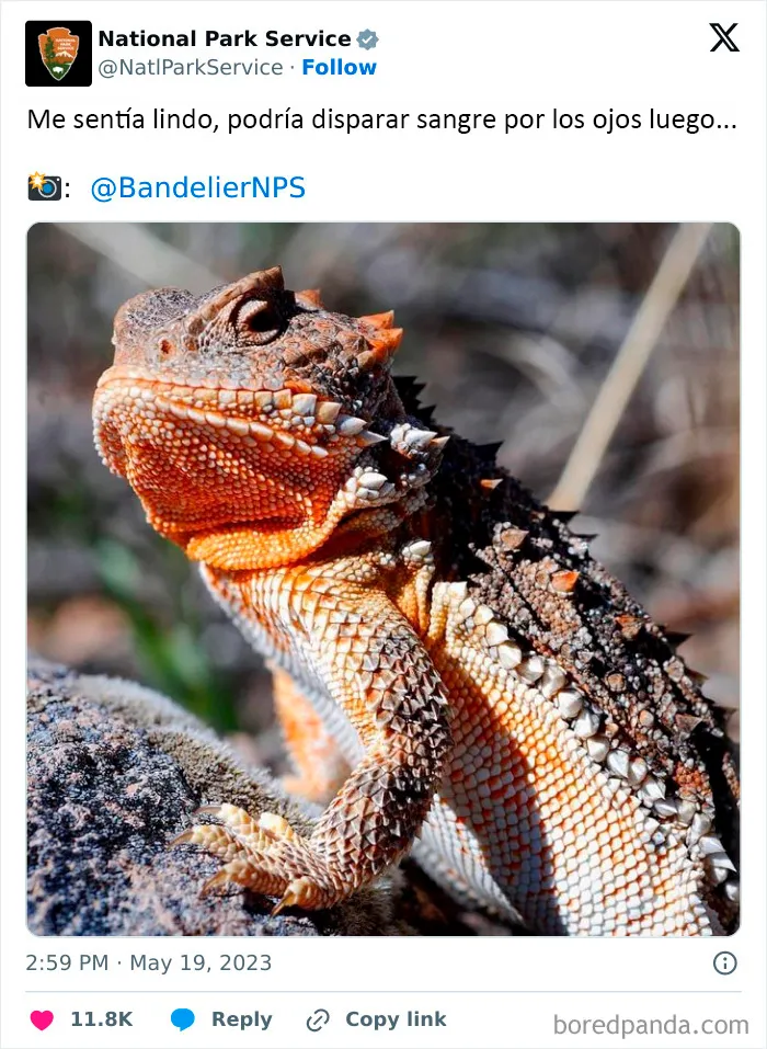 El Servicio de Parques Nacionales de los Estados Unidos tiene la persona perfecta para las redes sociales porque sus tuits son divertidísimos (25 fotos)
