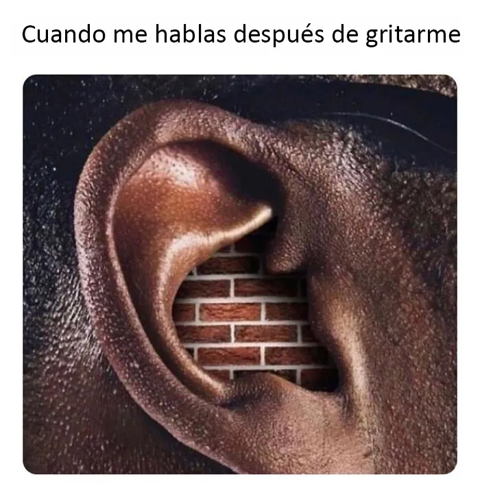 20 Memes muy cercanos que van desde los más desenfadados a los que dan en el clavo