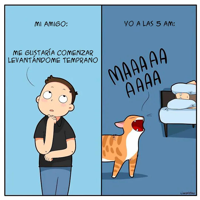 Una artista ilustra cómo es vivir con un gato (30 fotos nuevas)