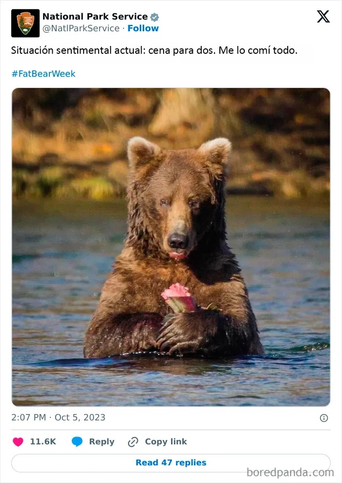 El Servicio de Parques Nacionales de los Estados Unidos tiene la persona perfecta para las redes sociales porque sus tuits son divertidísimos (25 fotos)