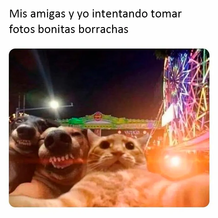20 Memes muy cercanos que van desde los más desenfadados a los que dan en el clavo