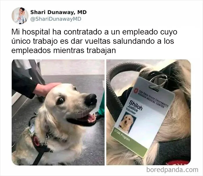 20 Reconfortantes publicaciones que debes ver si te sientes triste (nuevas fotos)