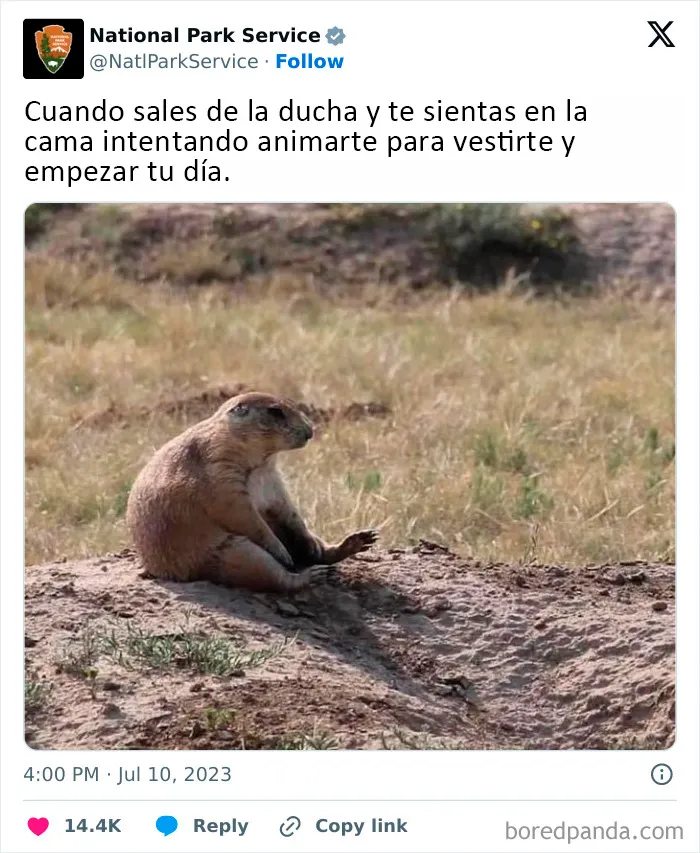 El Servicio de Parques Nacionales de los Estados Unidos tiene la persona perfecta para las redes sociales porque sus tuits son divertidísimos (25 fotos)