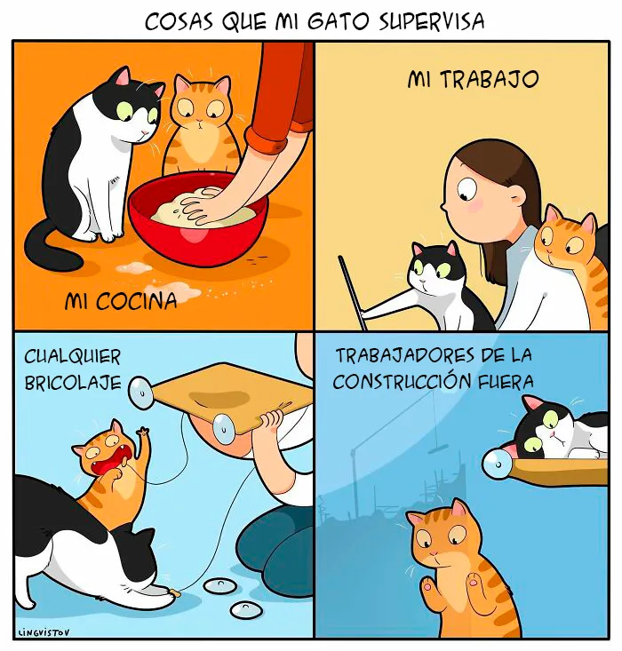 Una artista ilustra cómo es vivir con un gato (30 fotos nuevas)