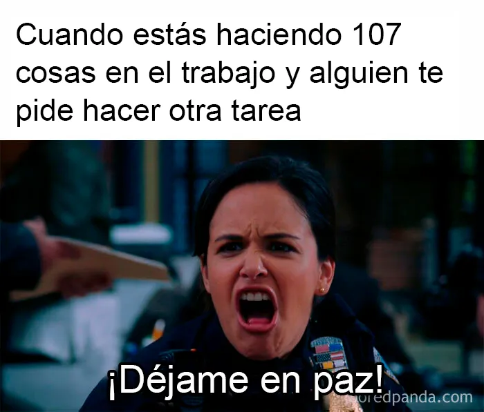 20 Divertidos memes sobre trabajo que mirar mientras intentas ser productivo (nuevos memes)