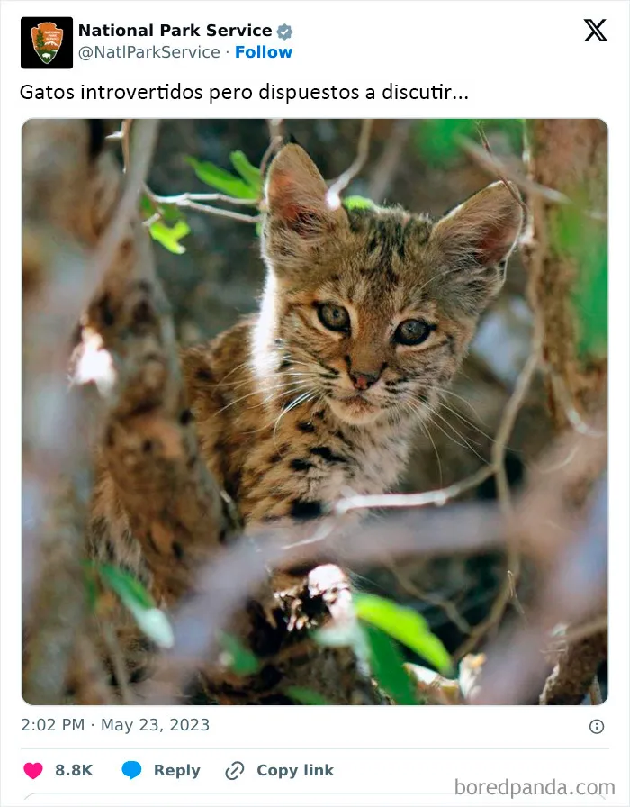 El Servicio de Parques Nacionales de los Estados Unidos tiene la persona perfecta para las redes sociales porque sus tuits son divertidísimos (25 fotos)