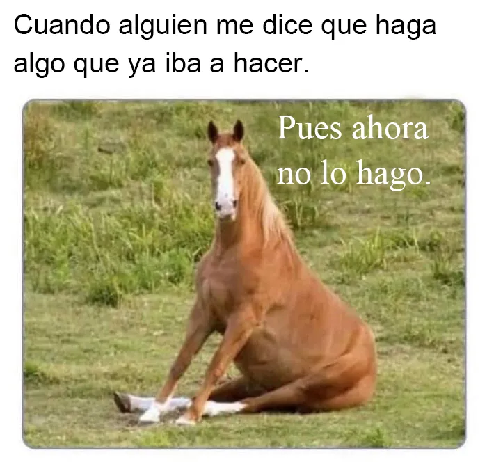 20 Divertidos memes sobre trabajo que mirar mientras intentas ser productivo (nuevos memes)