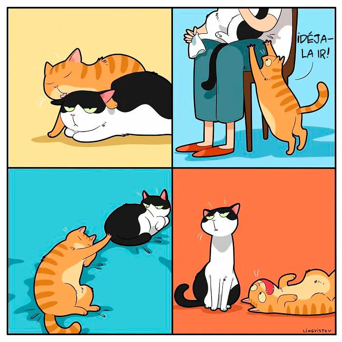 Una artista ilustra cómo es vivir con un gato (30 fotos nuevas)