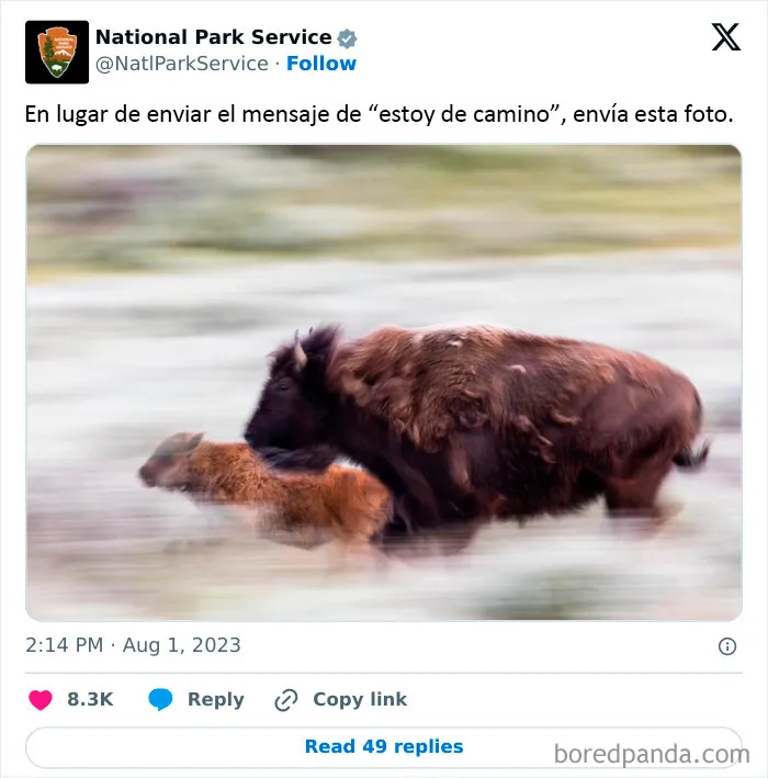 El Servicio de Parques Nacionales de los Estados Unidos tiene la persona perfecta para las redes sociales porque sus tuits son divertidísimos (25 fotos)