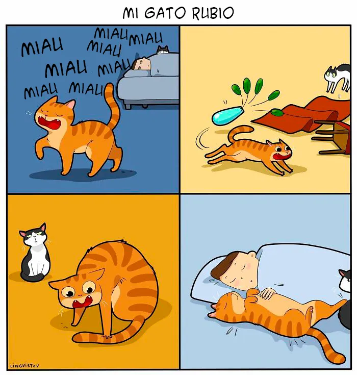 Una artista ilustra cómo es vivir con un gato (30 fotos nuevas)