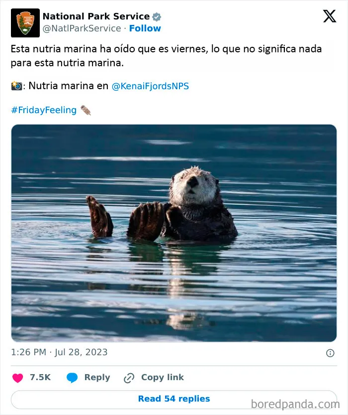 El Servicio de Parques Nacionales de los Estados Unidos tiene la persona perfecta para las redes sociales porque sus tuits son divertidísimos (25 fotos)