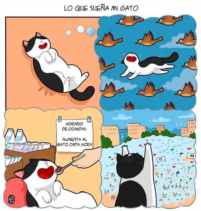 Una artista ilustra cómo es vivir con un gato (30 fotos nuevas)