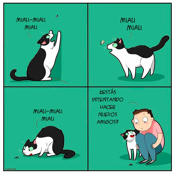 Una artista ilustra cómo es vivir con un gato (30 fotos nuevas)
