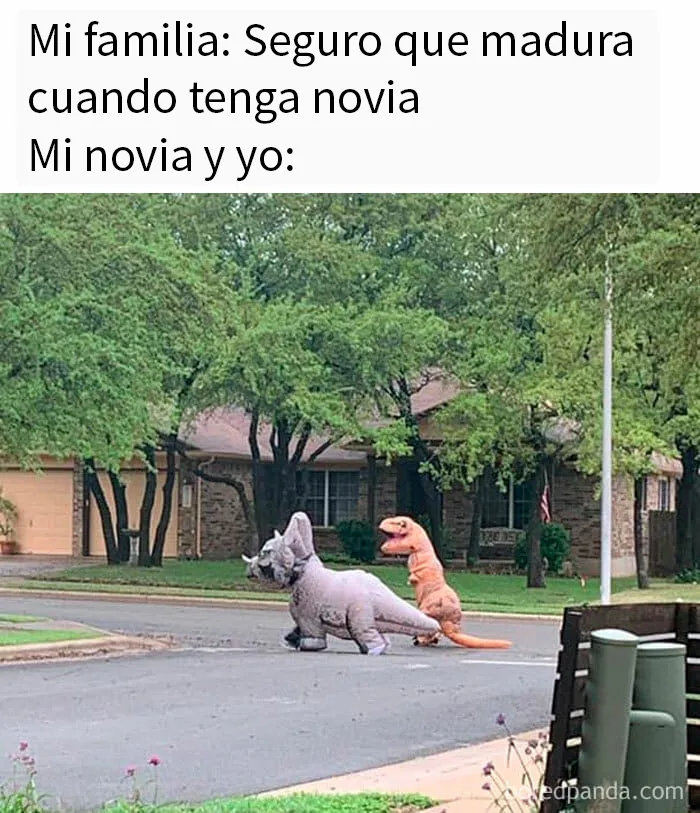 20 Divertidos memes que te resultarán dolorosamente familiares