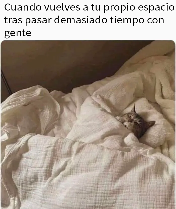 20 Divertidos memes que te resultarán dolorosamente familiares